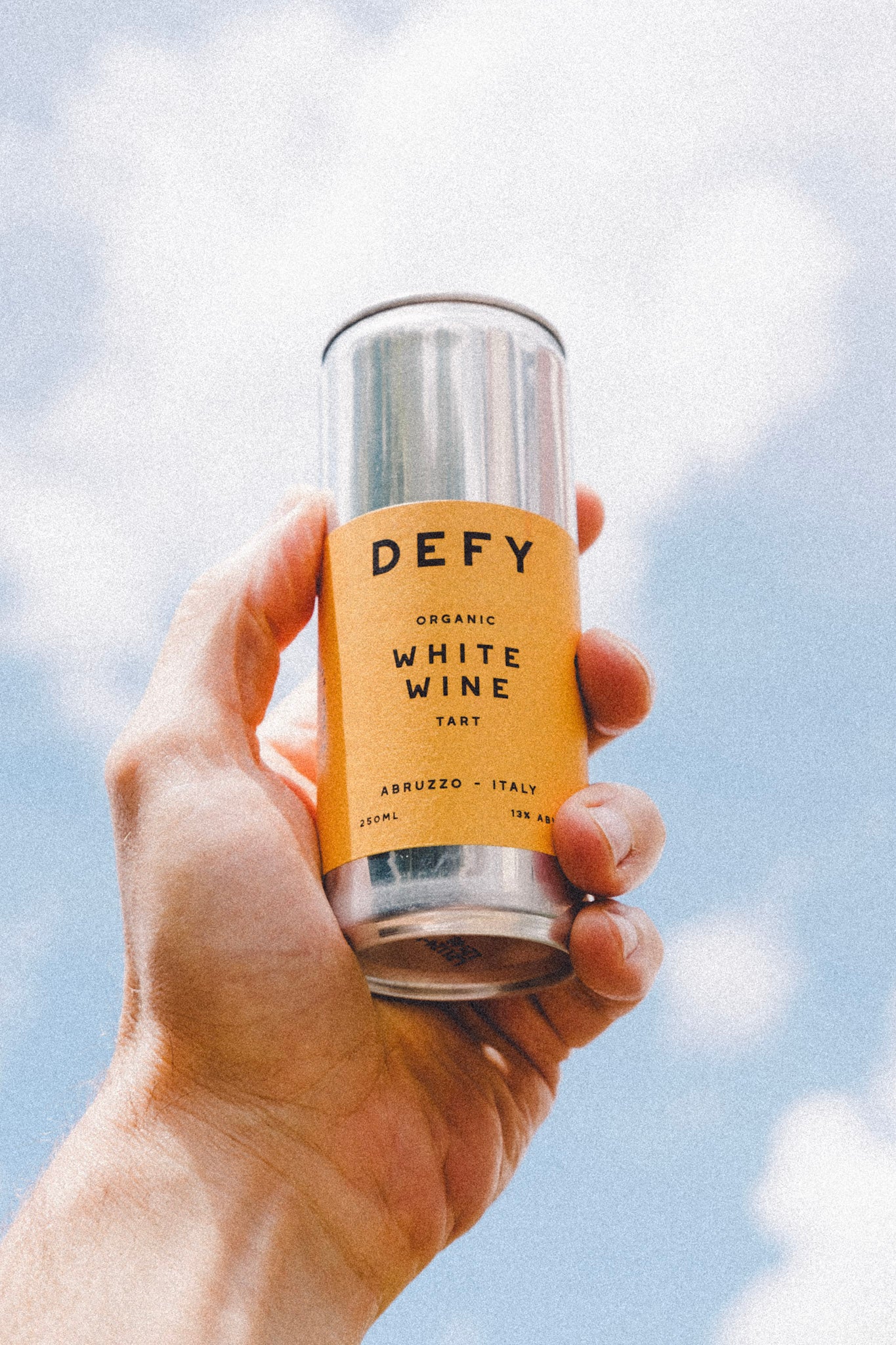 Recipe Vegan White Wine and Dijon Mustard Sauce for Tofu DEFY